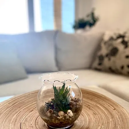 Cozy بيت ضيافة 3*