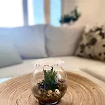 Cozy Πανσιόν 3*